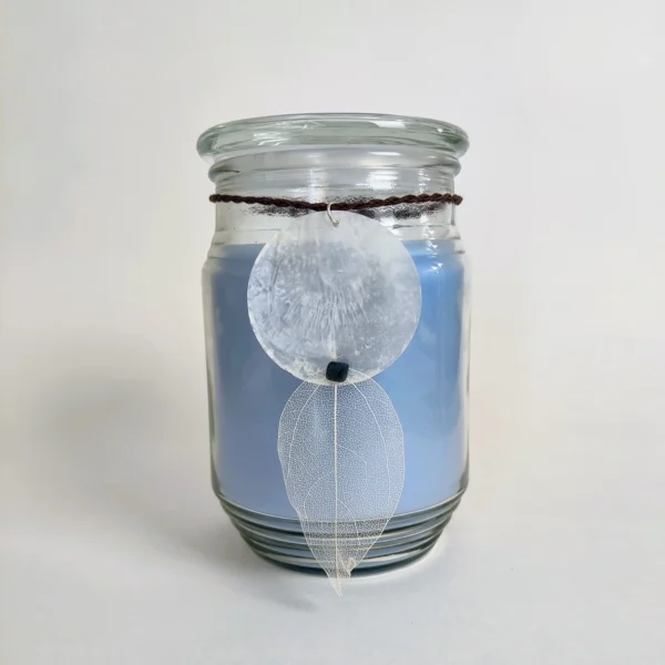 17oz Mystery Scent Candle - Blue